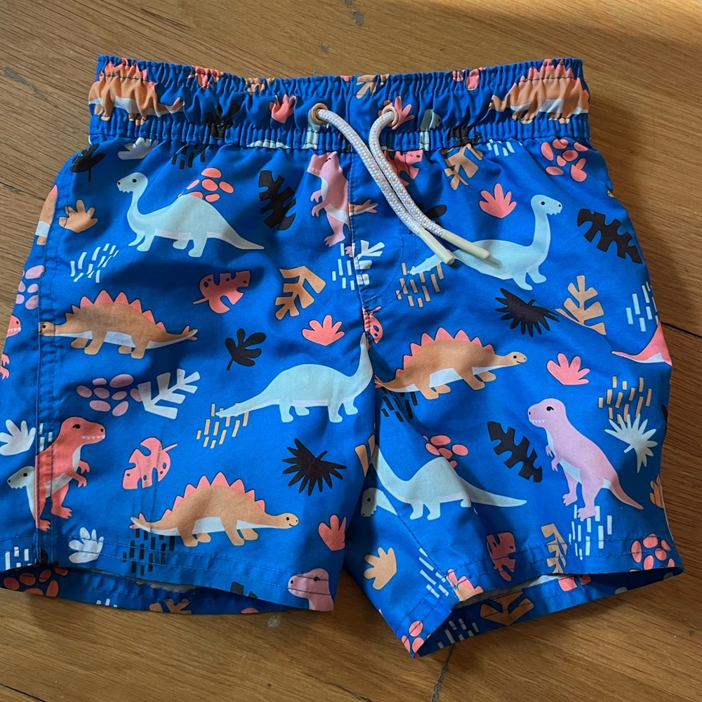 Blue Dinosaur Print Kids Bathing Suit